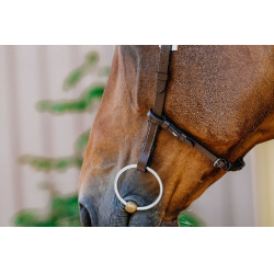 Bridon Freedom Norton Havanna Braun