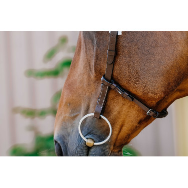 Bridon Freedom Norton Havanna Braun