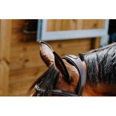 Bridon Freedom Norton Havanna Braun