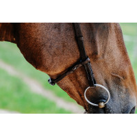 Bridon Freedom Norton Schwarz Bridon Freedom Norton Schwarz