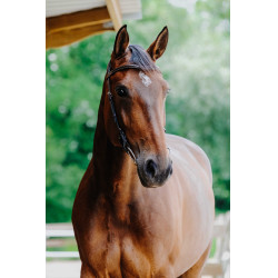 Bridon Freedom Norton Havanna Braun