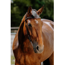 Bridon Freedom Norton Havanna Braun