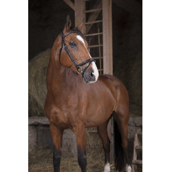 Bridon Norton Pro Fin Schwarz