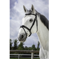 Bridon Norton Pro Soft Schwarz