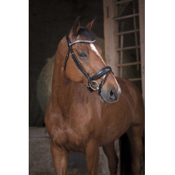 Trensenzaum Norton Pro Strass Schwarz