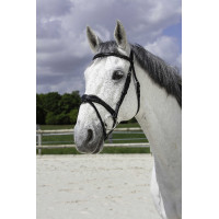 Bridon Norton Pro Welle Schwarz