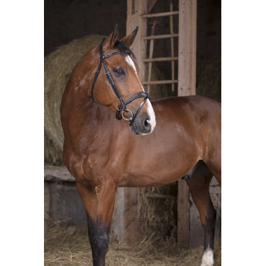 Bridon Norton Pro Welle