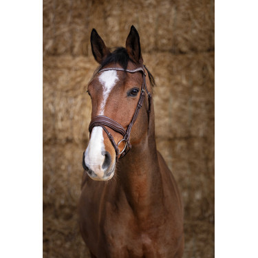 Bridon Norton Pro Miss Havanna Braun