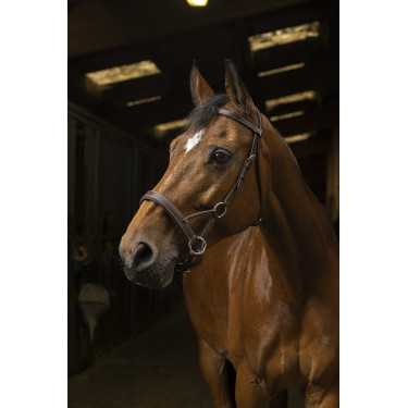 Seitenzieh-Norton Pro Komfort Havanna Braun