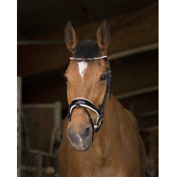 Trense Norton Pro Bella Schwarz