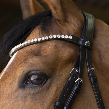 Trense Norton Pro Bella Schwarz