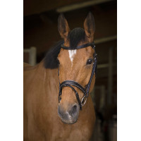 Bridon Norton Pro Rock Havanna Braun Bridon Norton Pro Rock Havanna Braun