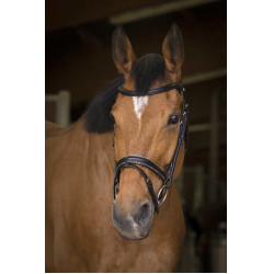 Bridon Norton Pro Rock Schwarz