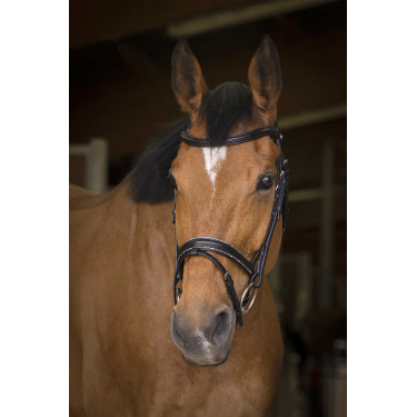 Bridon Norton Pro Rock Schwarz