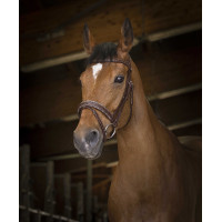 Bridon Norton Pro Rock Havanna Braun Bridon Norton Pro Rock Havanna Braun