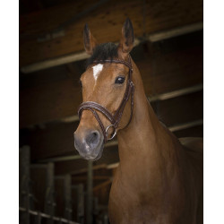 Bridon Norton Pro Rock Havanna Braun