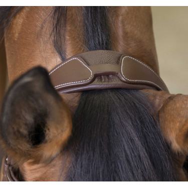 Bridon Norton Pro Rock Havanna Braun