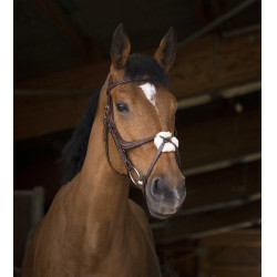 Bridon Norton Pro mit kombiniertem Reithalfter Havanna Braun