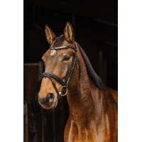 Trensenzaum Norton Pro Galon Schwarz