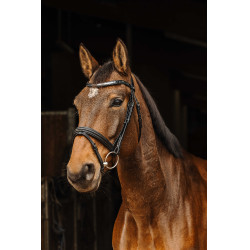 Trensenzaum Norton Pro Galon Schwarz