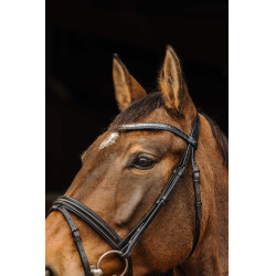 Trensenzaum Norton Pro Galon Schwarz