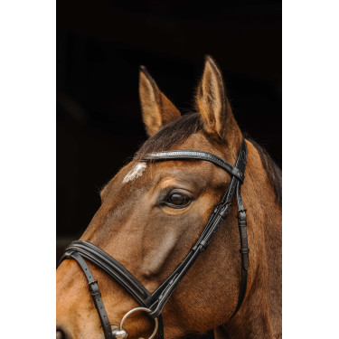 Trensenzaum Norton Pro Galon Schwarz