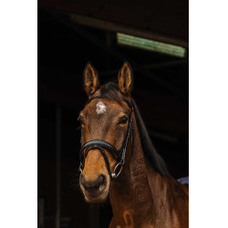 Bridon Norton Pro Dark Schwarz