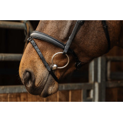 Bridon Norton Pro Dark Schwarz