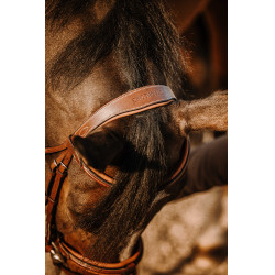 Bridon Eric Thomas Work Havanna Braun Bridon Eric Thomas Work Havanna Braun