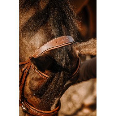 Bridon Eric Thomas Work Havanna Braun Bridon Eric Thomas Work Havanna Braun