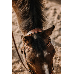 Bridon Eric Thomas Work Havanna Braun Bridon Eric Thomas Work Havanna Braun