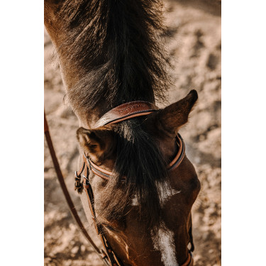 Bridon Eric Thomas Work Havanna Braun Bridon Eric Thomas Work Havanna Braun