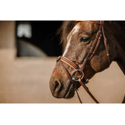 Bridon Eric Thomas Work Havanna Braun Bridon Eric Thomas Work Havanna Braun