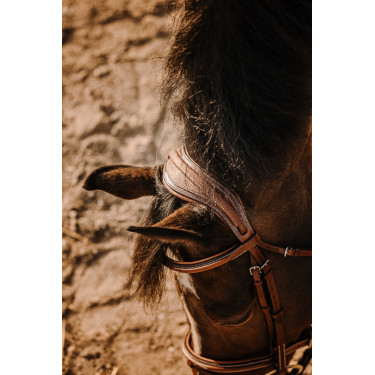 Trense Eric Thomas Crown Havanna Braun Trense Eric Thomas Crown Havanna Braun