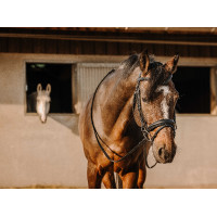 Trense Eric Thomas Bat Schwarz Trense Eric Thomas Bat Schwarz