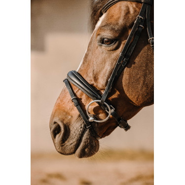 Trense Eric Thomas Bat Schwarz