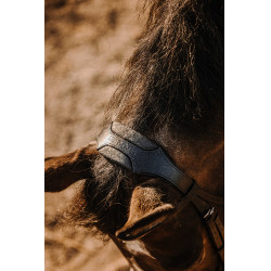 Trense Eric Thomas Bat Schwarz