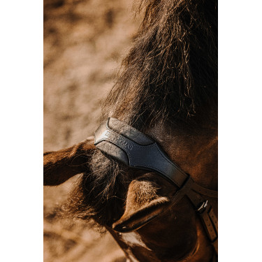 Trense Eric Thomas Bat Schwarz