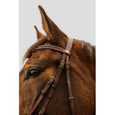 Trensenzaum Norton Club Strass V Havanna Braun