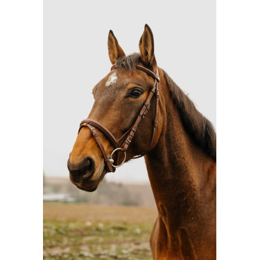 Bridon Norton Club Square Havanna Braun Bridon Norton Club Square Havanna Braun