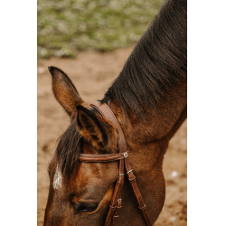 Bridon Norton Club Square Havanna Braun Bridon Norton Club Square Havanna Braun