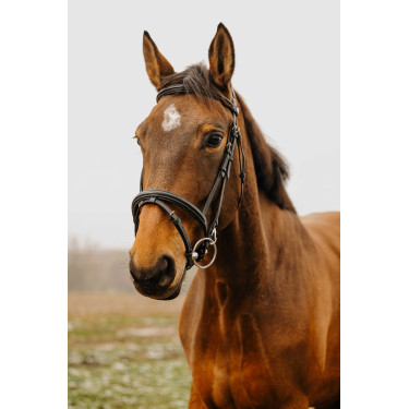 Bridon Norton Club Easy Schwarz Bridon Norton Club Easy Schwarz