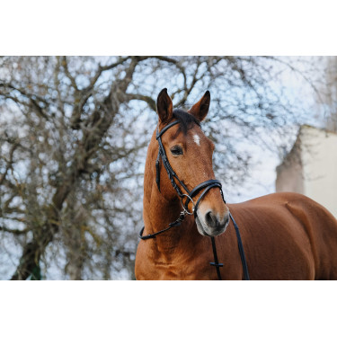 Bridon Norton Training Schwarz