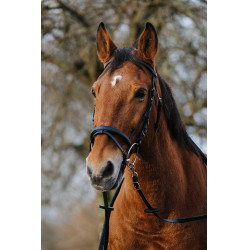 Bridon Norton Training Schwarz