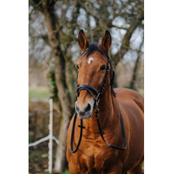Bridon Norton Training Schwarz