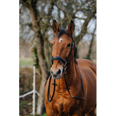 Bridon Norton Training Schwarz