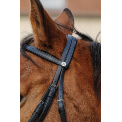 Bridon Norton Training Schwarz