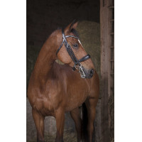 Bride Norton Pro Schwarz