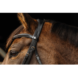 Trense Norton Basal Schwarz