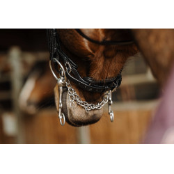 Trense Norton Basal Schwarz